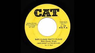 James Knight And The Butlers - Baby Please Pretty Please (Cat)