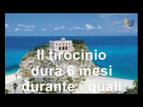 Attiva Calabria Tirocinanti