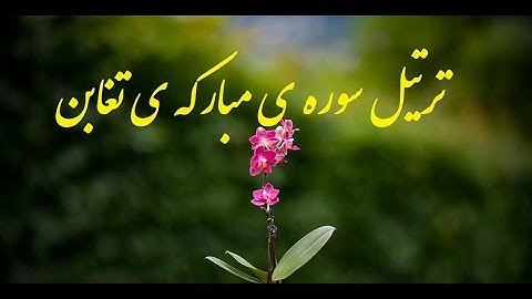 ترتیل سوره مبارکه ی تغابن با معنی فارسی. ویدیو42  Surah Taghabun