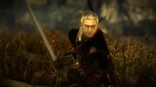 Geralt vs Kayran