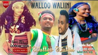 Walloo Waliini Siraba - Mahammed Said - New Ethiopian Oromo Music 2024- Oromo Music