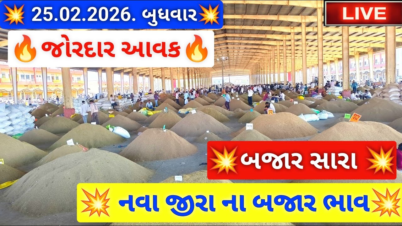 🔴💥live નવા જીરા ના બજાર ભાવ આજના જસદણ માર્કેટિંગ યાર્ડ, new cumin auction price,February 25, 2026