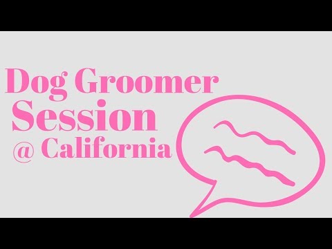 fast pet grooming Dog Grooming Session In California Book Today (May 8-15-)