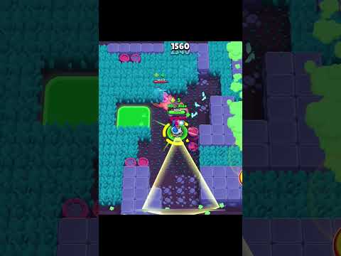 Shelly prestij 3