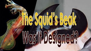 A squid's beak is a marvel of biological engineering ♦🛑📌