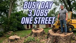 Busy Day! Three Stump Grinding Jobs Near Each Other
