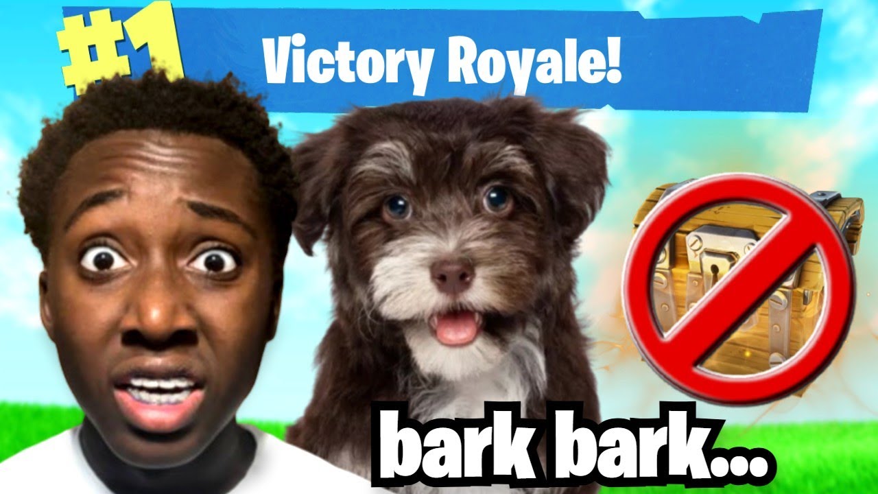 Letting My DOG CONTROL My Fortnite Game…