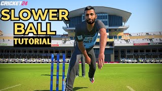 Cricket 24 Bowling Tutorial | Slower Delivery