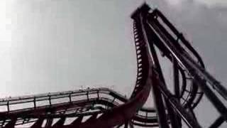 Sheikra - Busch Gardens Tampa