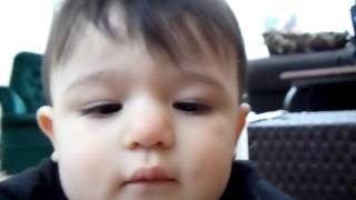 Trying To Eat The Camera