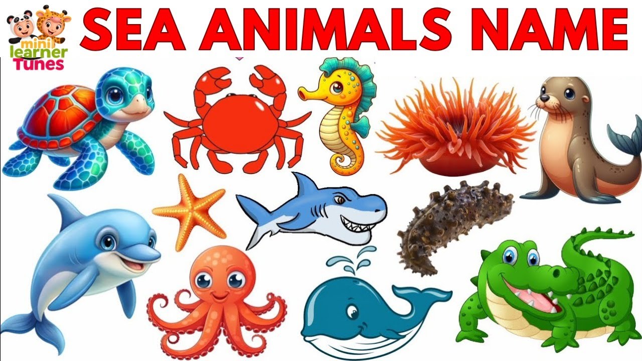 Sea Animals for Kids | Learn Ocean Animal Names and Sounds | Fun ...