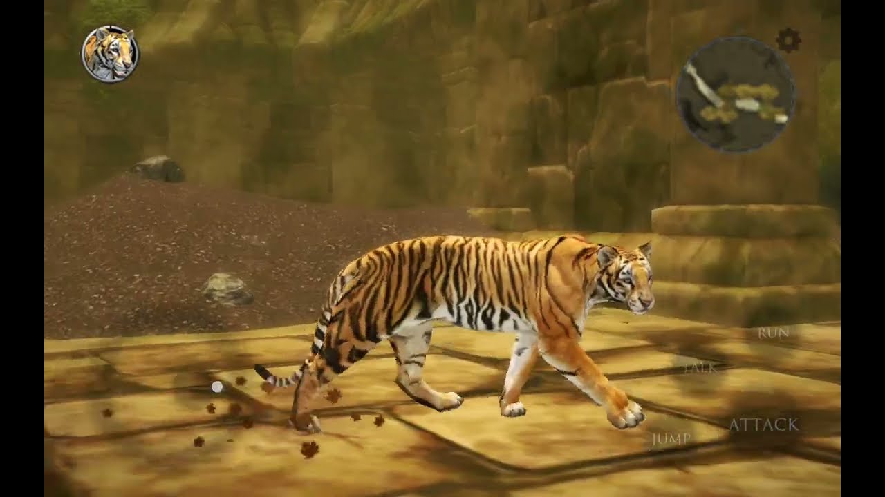 I found an Ancient Kingdom in Ultimate Tiger !!