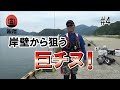 巨チヌ岸壁から狙う！＃４最終話