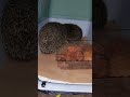 🦔  HEDGEHOGCHİLDREN  ♥️