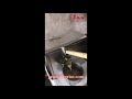 Video Image