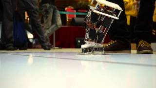Biped Robot in Macau Robot Competition 2013