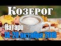 КОЗЕРОГ - таро прогноз 14-20 октября 2019 года НАТАРО.