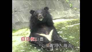 更上一層樓-KTV0374