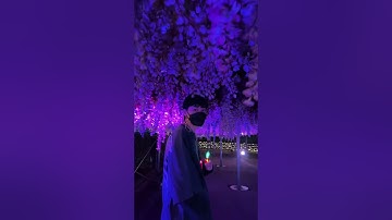 địa điểm check in cực cháy ở Tokyo lung linh cực đỉnh các chị em chắc chắn phải thử#snooppi #shorts