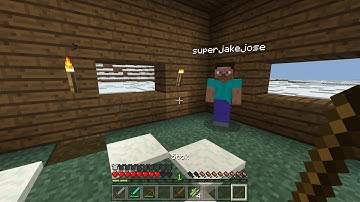 Minecraft superjakejosecat and troll