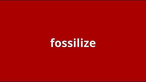 what is the meaning of fossilize