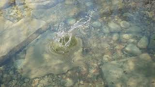 Throwing a rock into a pond recorded super slow motion 960 frames per second (32.1 times slower)