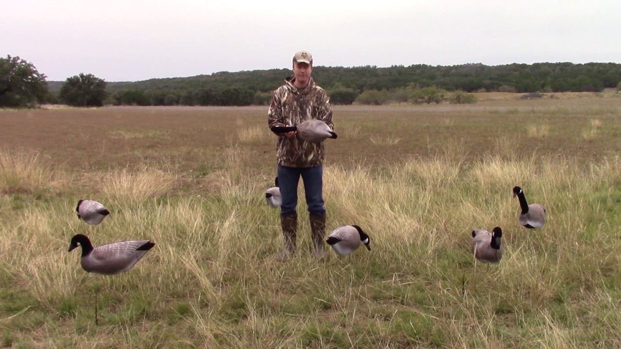 How Ultimate Predator's Wind Drifter Canada Goose Decoys Work YouTube