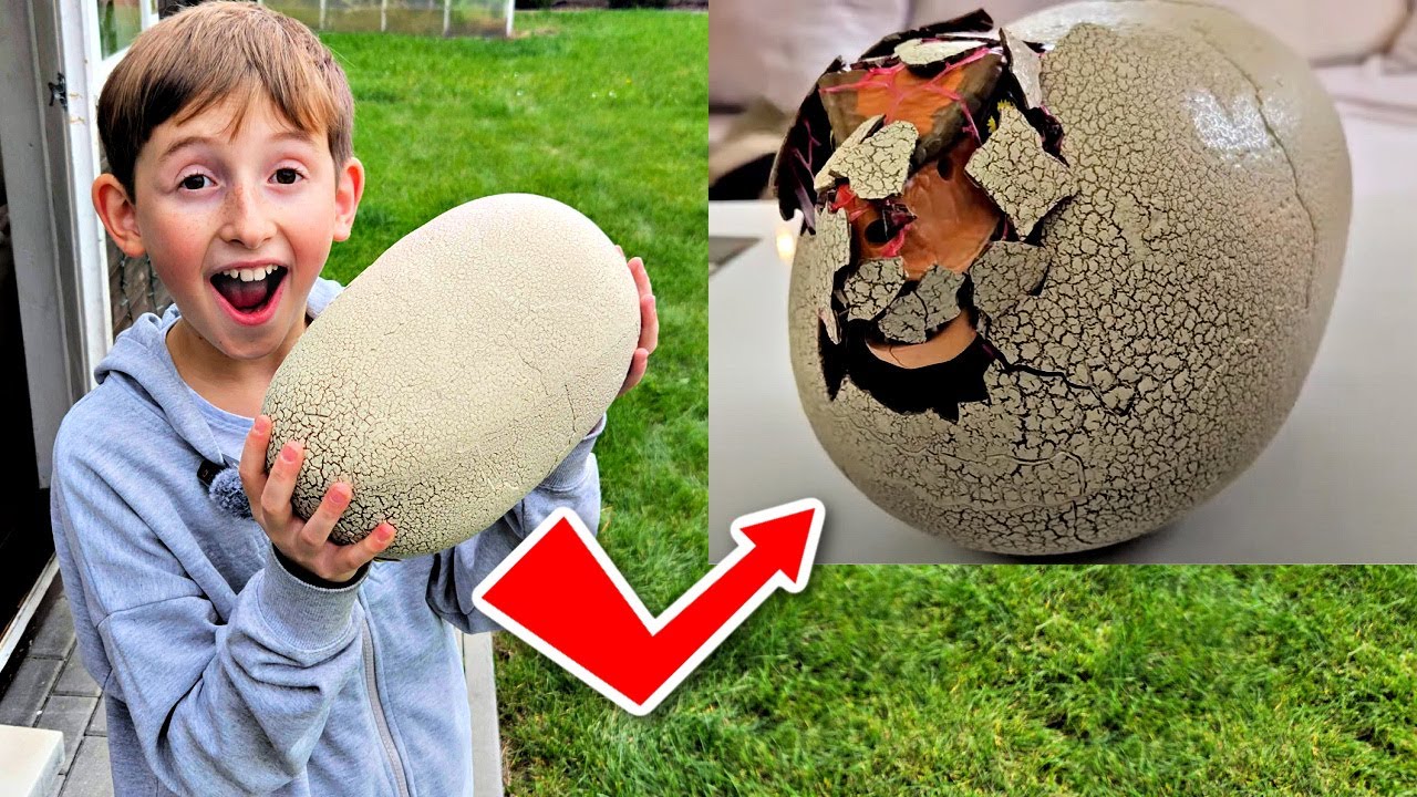 ZNALAZŁEM JAJO DINOZAURA - CIEKAWE CO SIĘ WYKLUJE