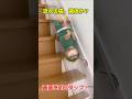 飼い主さん!トンネルから変なの流れてる!