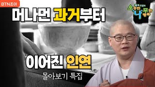 머나먼 과거부터 이어지는 인연ㅣ광우스님 소나무 몰아보기