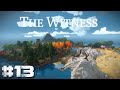 The witness 13