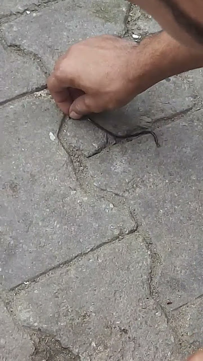 Doodh Ka Karz part 3