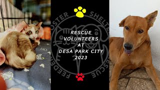 Animal Rescue Volunteers At Desa Park City 2024