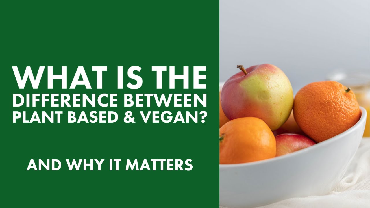 What Is The Difference Between Plant Based and Vegan? And Why It ...