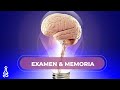 Meditación para ESTUDIAR o EXAMEN