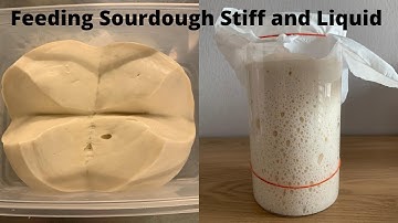 Feeding Sourdough Starter Stiff and Liquid. How to maintain and preparing for baking.