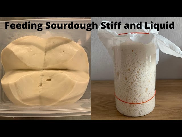 Feeding Sourdough Starter Stiff and Liquid. How to maintain and preparing for baking. class=