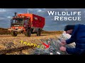 Wildlife rescue. Bird trapped by a fishing net. Vanlife UK