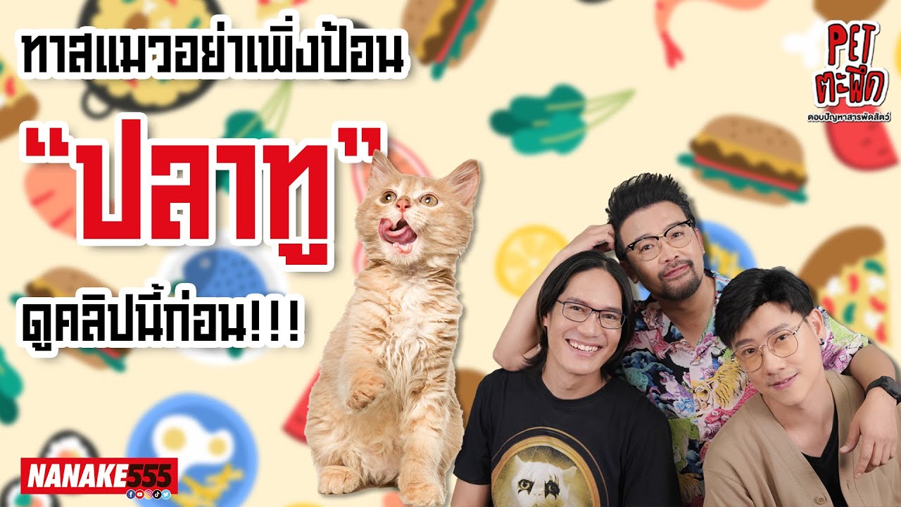 ทาสแมวอย่าเพิ่งป้อน “ปลาทู” ดูคลิปนี้ก่อน!!! | #Petตะพึด