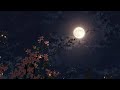 Full Moon [pink Moon]🌕                 #nature #moon #moonlight #vairalvideo 