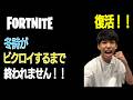 【生配信】フォートナイトで冬詩がビクロイ出来るまで終われません！！