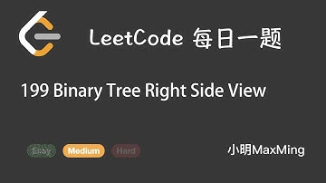LeetCode 每日一题 Daily Challenge 199 Binary Tree Right Side View