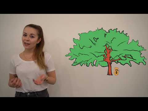 Hitchhiker's guide to events ep.2 - To print or not to print? That is the question - video from Eventory