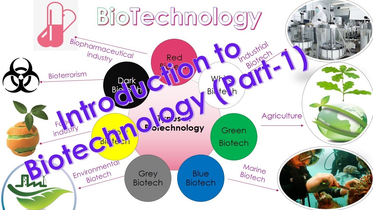 Introduction to Biotechnology (Part 1)Modern Biotechnology 20192020