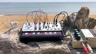 KORG volca modular at the seashore -binaural recording-