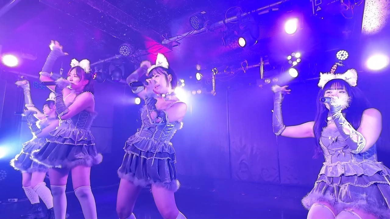 【道玄坂69】《フルステージ》 260211 藍月ノエル生誕祭 2026 Noel in Wonderland 新宿club SCIENCE #道玄坂69 #DGZ69