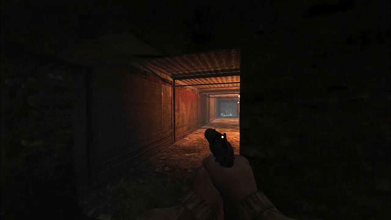 Why AI in Stalker Gamma have CHEATS! stalker2 stalker anomaly 