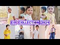 Eid collection 2024 nihal nayelas eid collection