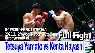 Tetsuya Yamato vs Kenta Hayashi 23.3.12 National Stadium Yoyogi first gymnasium～K’FESTA.6～