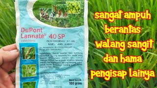 Biz navbatlarni yalashimiz kerak Bortdan keyin opish